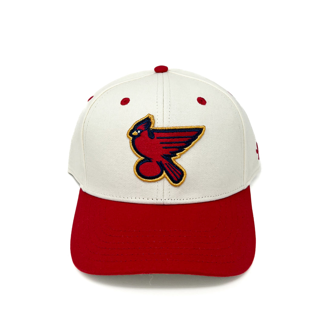 MASHUP CRM/SCRLT Snapback – frydokra